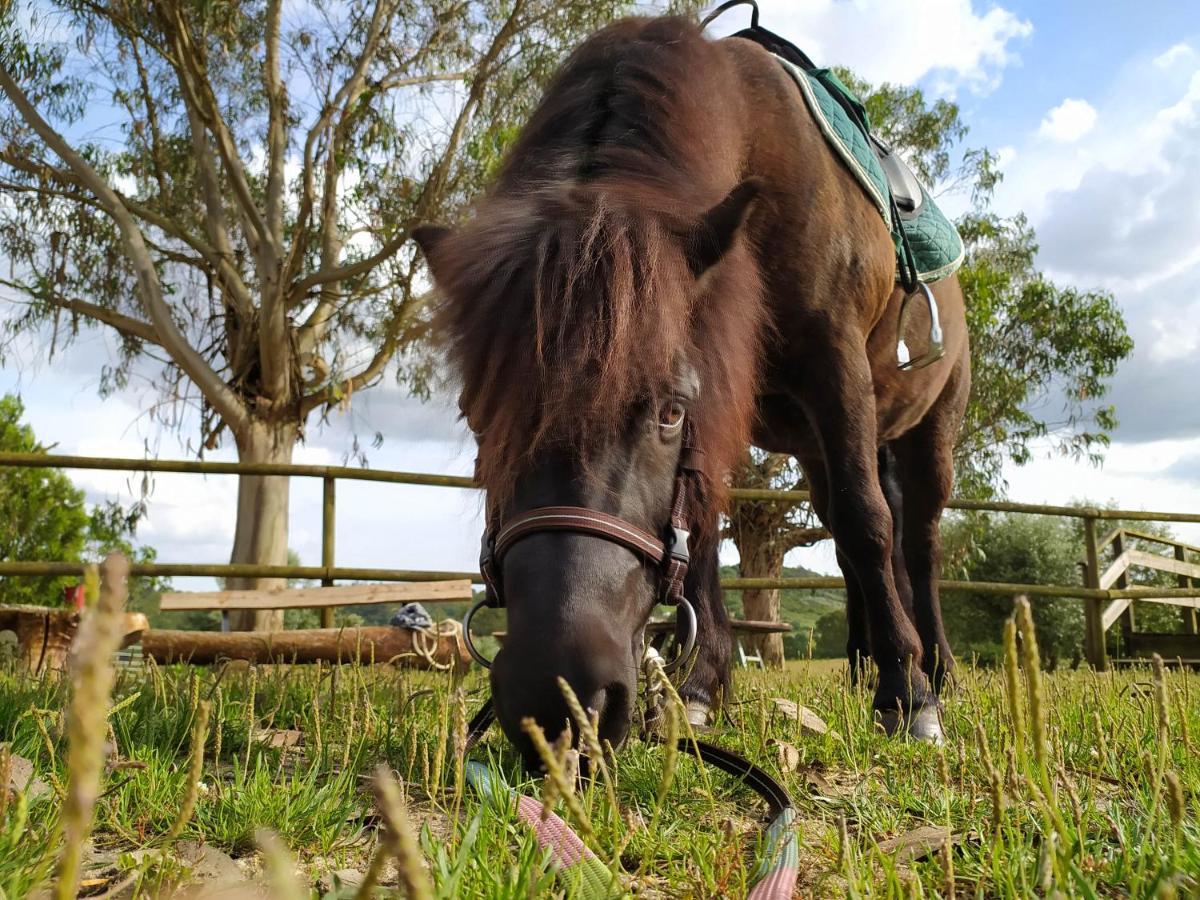 Herdade Da Hera Azambuja Esterno foto