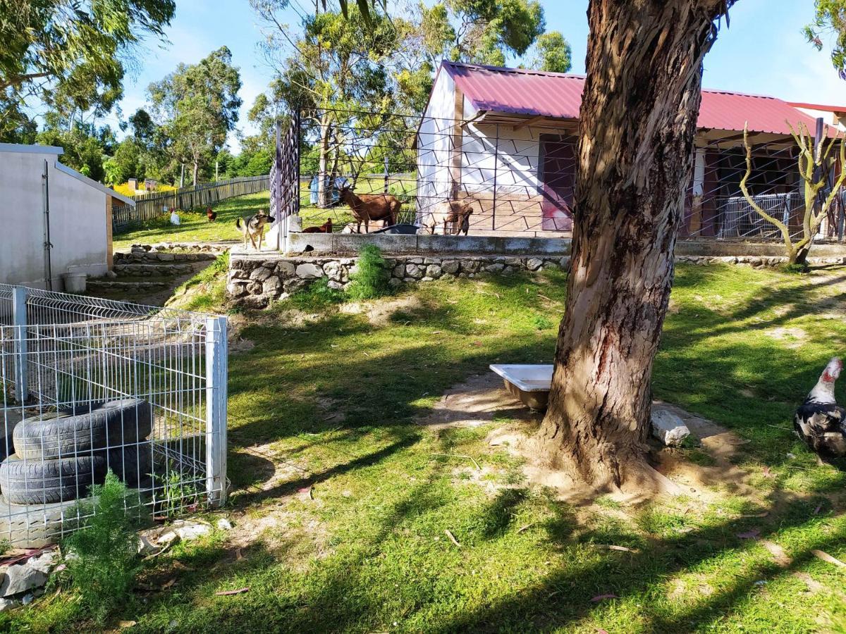 Herdade Da Hera Azambuja Esterno foto
