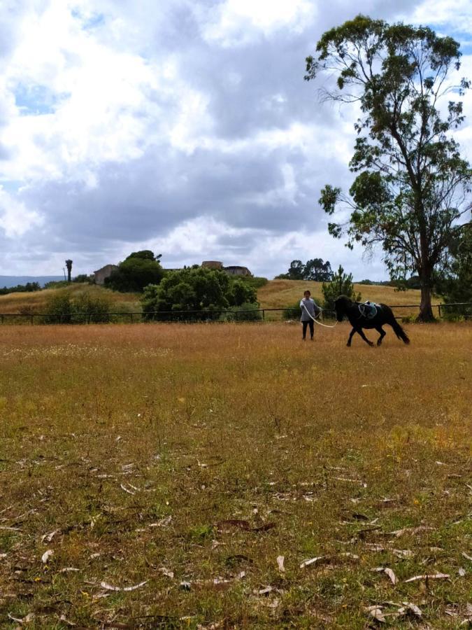 Herdade Da Hera Azambuja Esterno foto