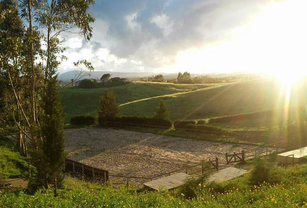Herdade Da Hera Azambuja Esterno foto