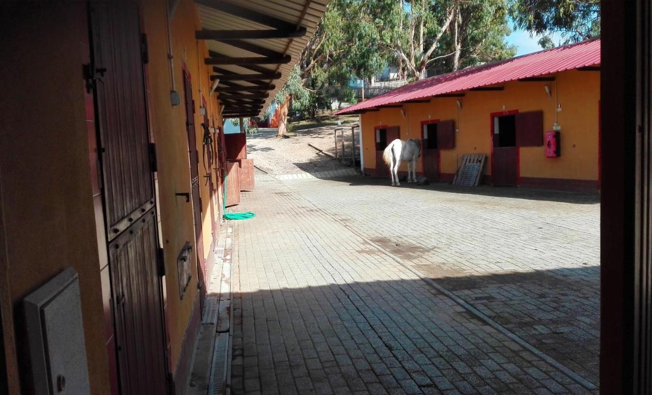 Herdade Da Hera Azambuja Esterno foto